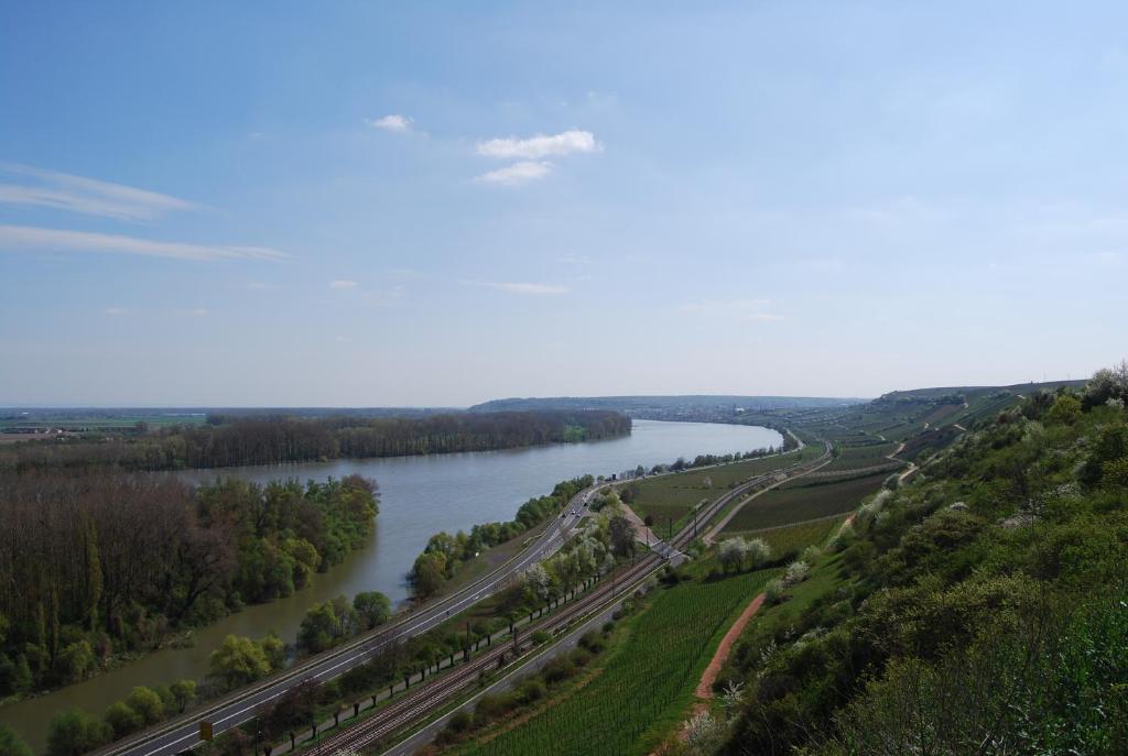 Landhotel St. Gereon Nackenheim Kültér fotó